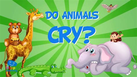 Do other animals cry?